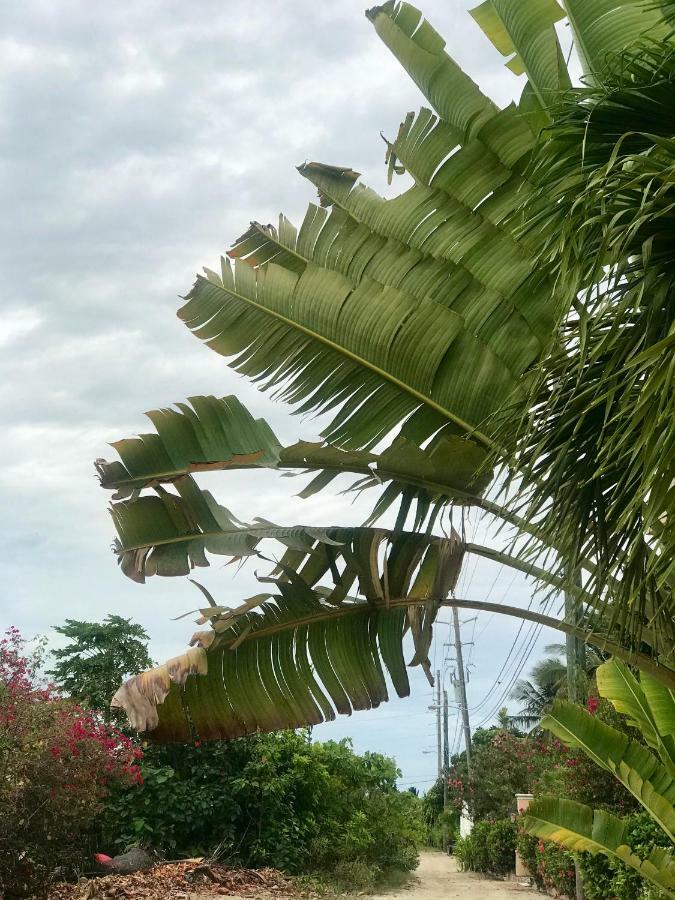 La Casa De Paz Hotel San Pedro  Kültér fotó